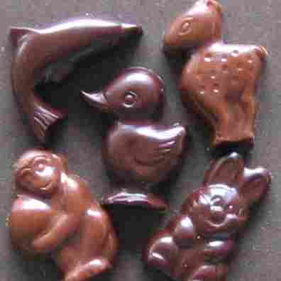 chocolate critters
